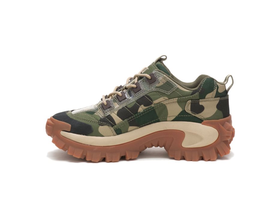 Men's Caterpillar CAT Intruder Shoe Casual Shoes Camo | CAT-019HG