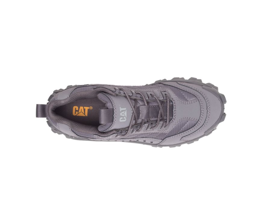 Men's Caterpillar CAT Intruder Shoe Casual Shoes Grey | CAT-078MU