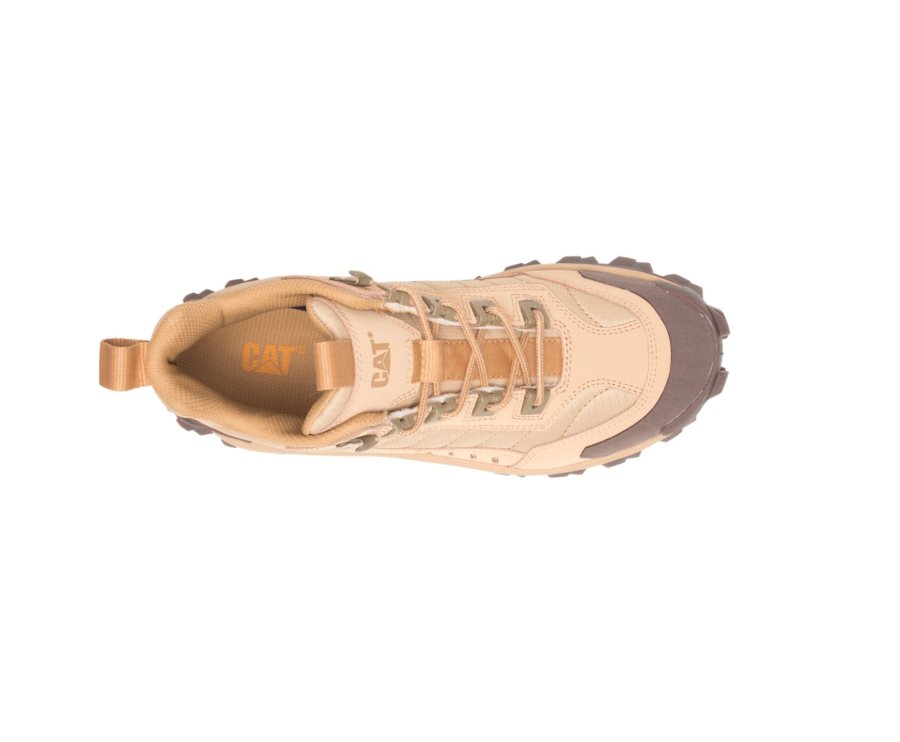 Women's Caterpillar CAT Intruder Mid Sneakers Brown | CAT-421CR