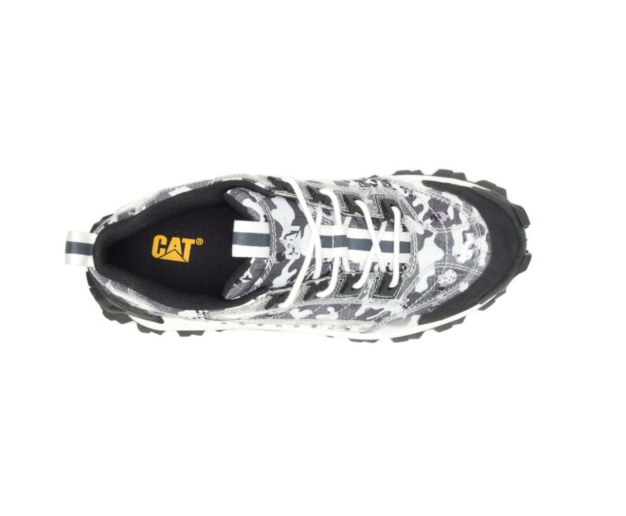 Women's Caterpillar CAT Intruder Shoe Casual Shoes Black Camo | CAT-364VY