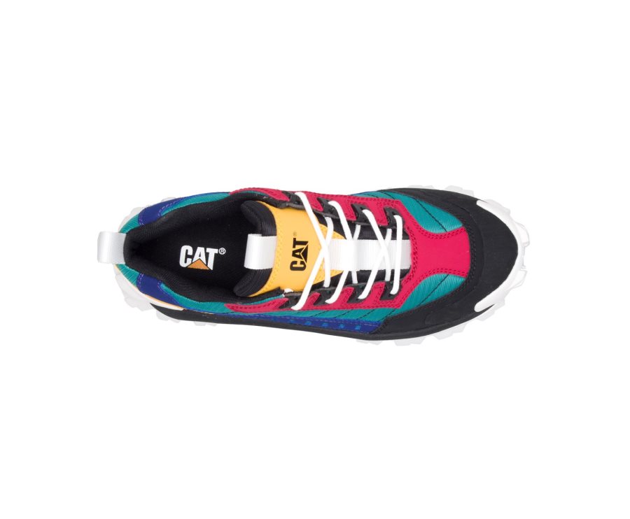 Women's Caterpillar CAT Intruder Shoe Casual Shoes Black / Multicolor | CAT-504TE